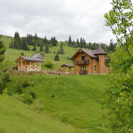 Пагорб Їжака / Hedgehog Hill Villa Yablunytsya Ngoại thất bức ảnh