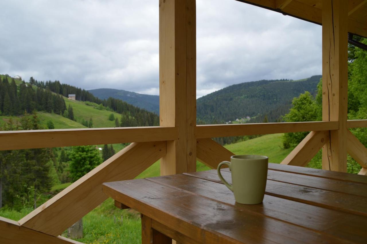 Пагорб Їжака / Hedgehog Hill Villa Yablunytsya Ngoại thất bức ảnh