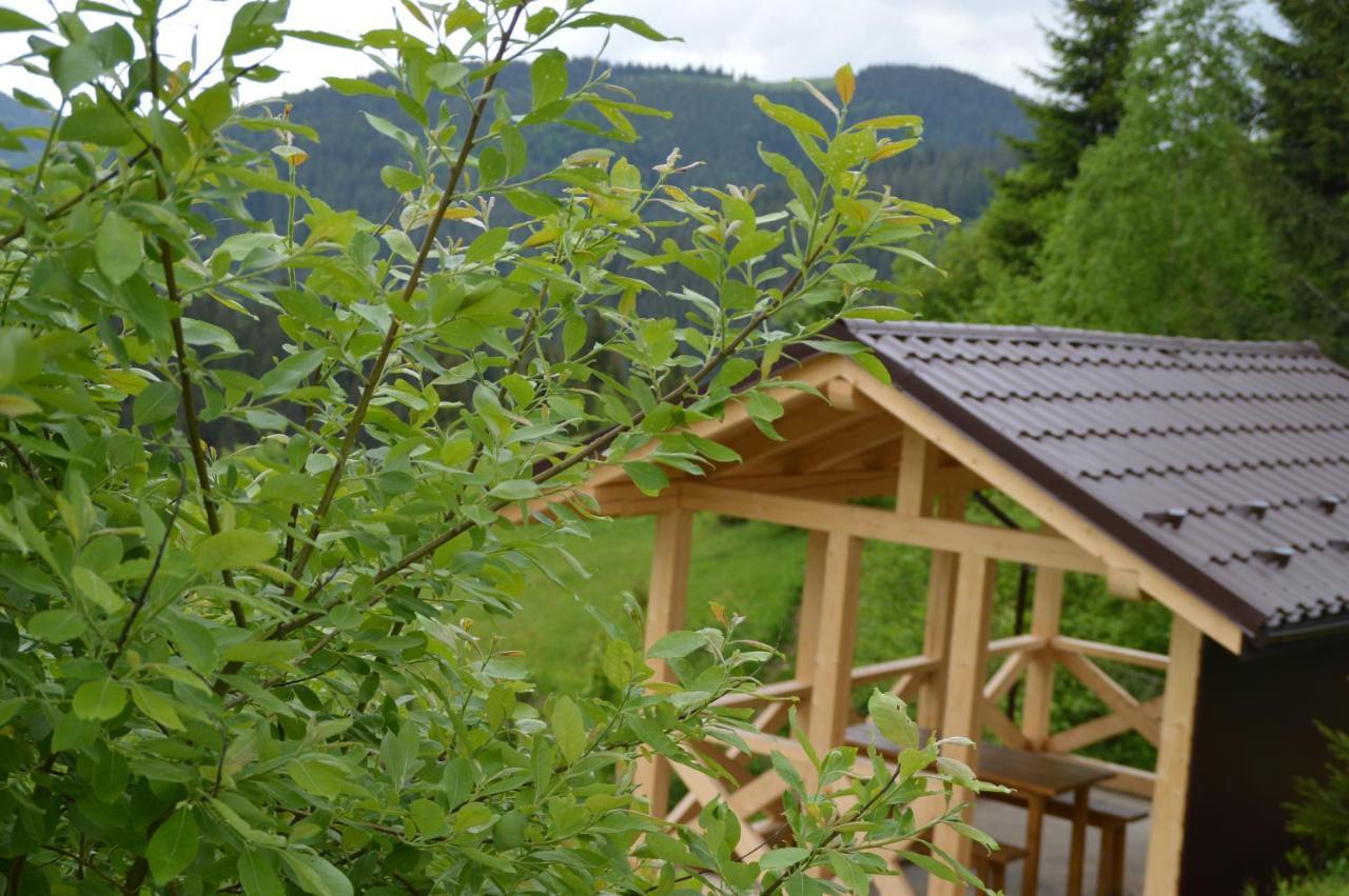 Пагорб Їжака / Hedgehog Hill Villa Yablunytsya Ngoại thất bức ảnh